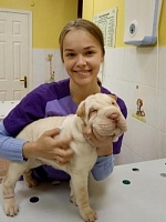 Елизавета Дмитриевна Абдуллина