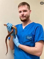 Антон Валерьевич Покровский