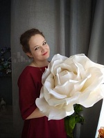 Шпилева Алеся Сергеевна